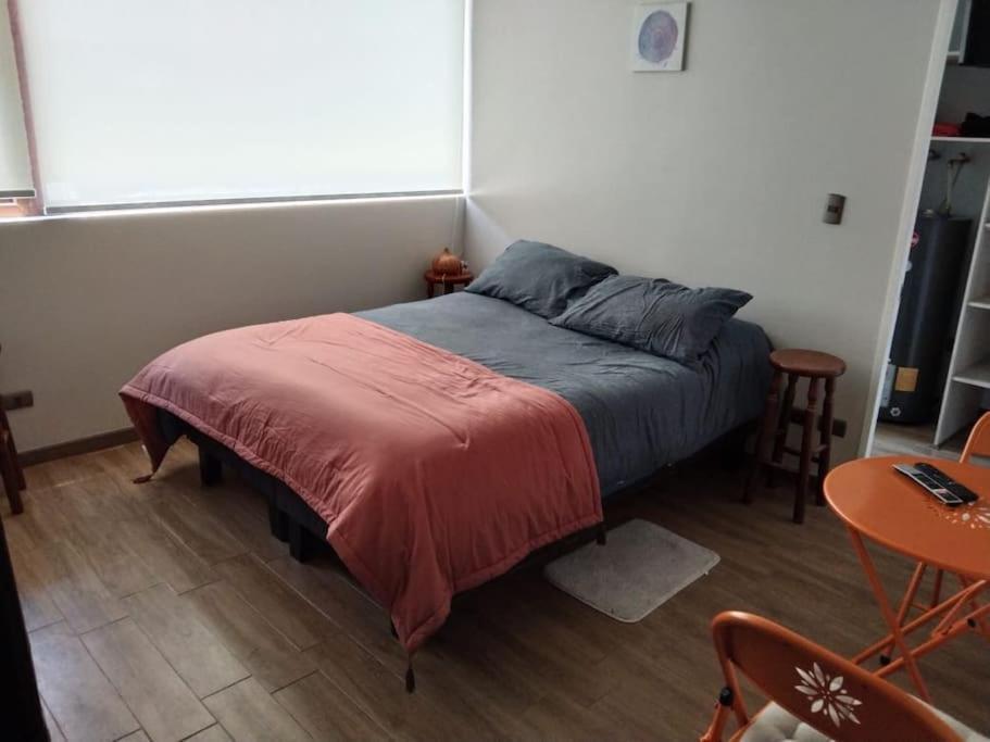 Apartament Departamento Nuevo Tipo Estudio En Pleno Centro -8 Concepción Zewnętrze zdjęcie