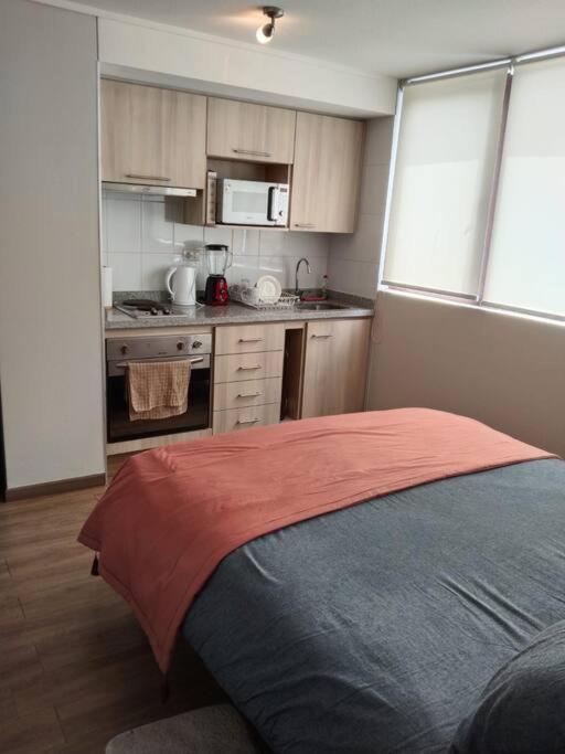 Apartament Departamento Nuevo Tipo Estudio En Pleno Centro -8 Concepción Zewnętrze zdjęcie