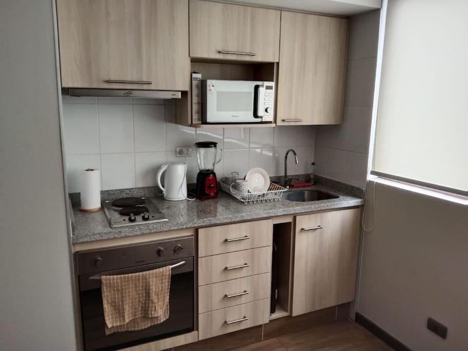 Apartament Departamento Nuevo Tipo Estudio En Pleno Centro -8 Concepción Zewnętrze zdjęcie