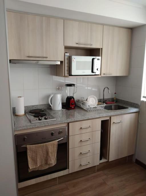 Apartament Departamento Nuevo Tipo Estudio En Pleno Centro -8 Concepción Zewnętrze zdjęcie