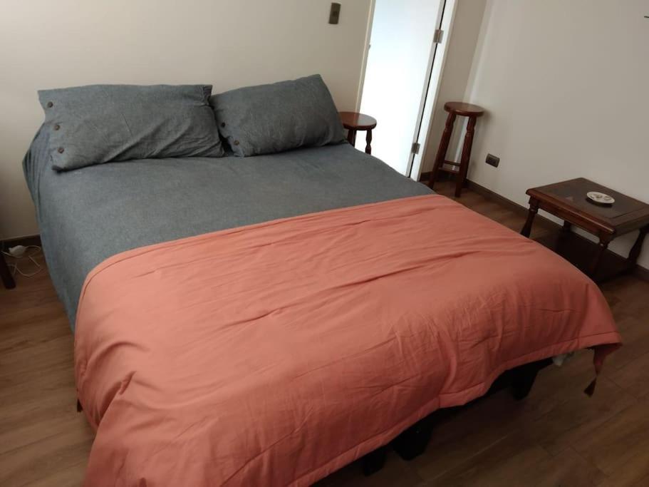 Apartament Departamento Nuevo Tipo Estudio En Pleno Centro -8 Concepción Zewnętrze zdjęcie