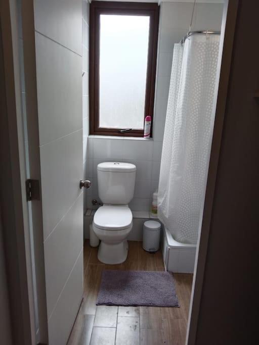 Apartament Departamento Nuevo Tipo Estudio En Pleno Centro -8 Concepción Zewnętrze zdjęcie