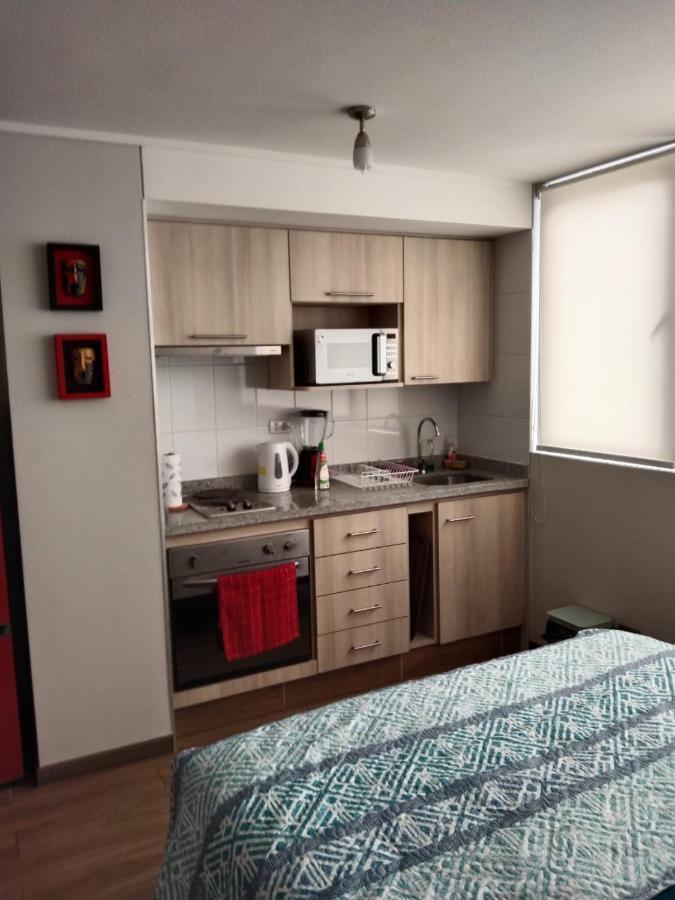 Apartament Departamento Nuevo Tipo Estudio En Pleno Centro -8 Concepción Zewnętrze zdjęcie
